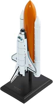 519QTyZYJ7L._AC_UF350,