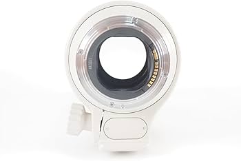 Amazon.com : Canon EF 70-200mm f/2.8L USM Telepho - International