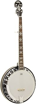 Amazon.co.jp: ARIA SB-40 5弦バンジョー アリア : 楽器・音響機器