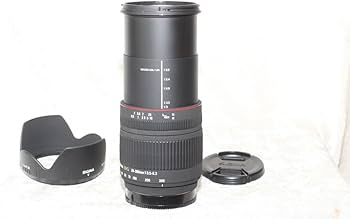 Amazon.com : Sigma 28-300mm f/3.5-6.3 DG IF Macro Aspherical Lens