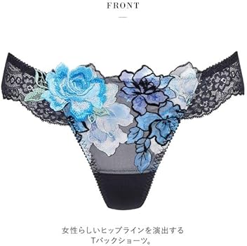 Amazon.co.jp: ワコール Wacoal サルート Salute 24SS 06G PTJ406 T