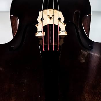 Amazon | SPIROCORE スピロコア コントラバス弦セット 3/4 MEDIUM