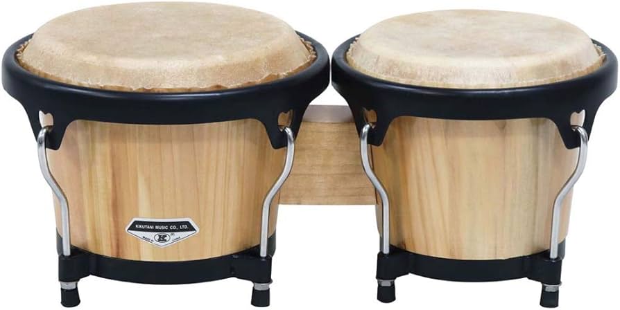 Amazon | キクタニ ボンゴ 打面径6.5インチ+7インチ BG-10 | ボンゴ