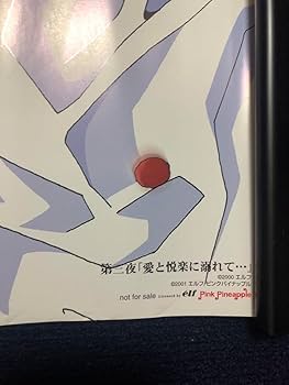 Amazon.co.jp: 愛姉妹 二人の果実 描き下ろし B2 サイズ ポスター : ホビー