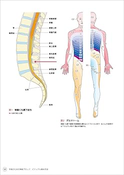 手術のための神経ブロック ビジュアル基本手技〜麻酔科医が知りたい