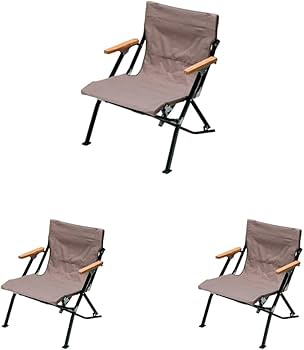 Amazon.co.jp: スノーピーク(snow peak) チェア ローチェア30 ショート