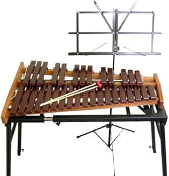 51IpZQVPQPL._AC_UF350,