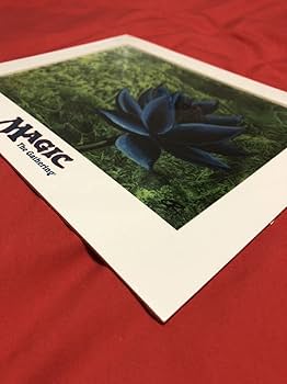 Amazon.co.jp: MTG アートプリント Black Lotus ブラックロータス複製
