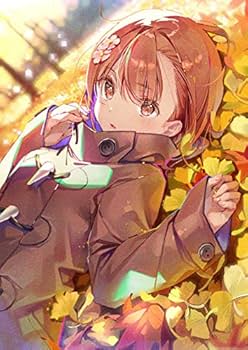 Amazon.co.jp: とある魔術の禁書目録 とある科学の超電磁砲 御坂美琴
