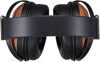 Amazon.co.jp: FOSTEX オープンダイナミック型プレミアム・ヘッドホン