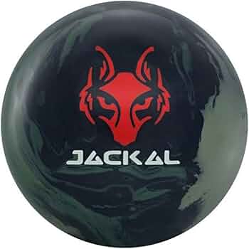 51MPSg4miwL._AC_UF350,