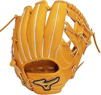 51Mga-hYHaL._AC_UF350,