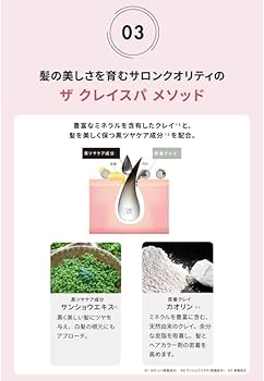 Amazon | CLAYENCE クレイエンス クレイスパ クイックカラー A シアー