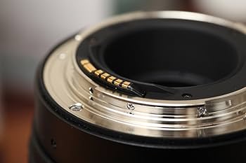 Amazon | Tokina 超広角ズームレンズ AT-X 16-28 PRO FX 16-28mm F2.8