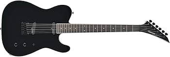 Amazon | FERNANDES フェルナンデス エレキギター TEJ-STD 2S '19 BLK