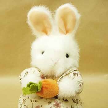 51UHBglAIJL._AC_UF350,