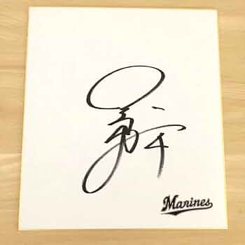 51VFZ8-B5zL._AC_UF350,