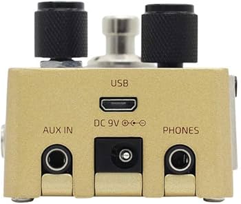 Amazon | HOTONE 「OMNI AC」CDCMアコースティック・ギター