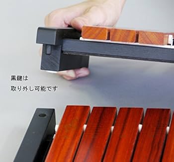 Amazon | ゼンオン シロフォン ZX32AP | 木琴 | 楽器・音響機器