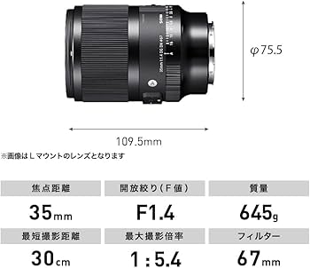 Amazon.com : 35mm F1.4 DG DN for Sony E Mount : Electronics