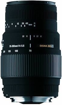 Amazon.co.jp: SIGMA 望遠ズームレンズ APO 70-300mm F4-5.6 DG MACRO