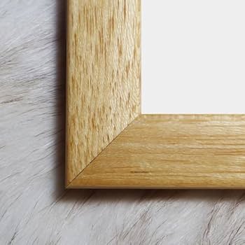 Amazon.co.jp: 額装済/サンダーバニー flying Dream 限定150枚 サイン