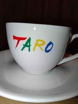 51Xt2DlHJTL._AC_UF350,