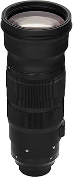 Amazon.co.jp: SIGMA 120-300mm F2.8 DG OS HSM | Sports S013 | Canon