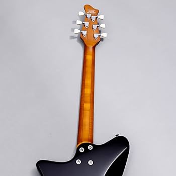 Amazon | RYOGA SKATER/LEC-v2 Monochrome Black エレキギター コイル