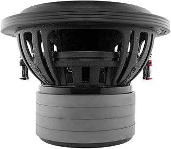 Amazon.com: DS18 ZXI10.4D 10 Inches High Excursion Car Audio