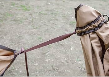 Amazon | テンマクデザイン ムササビウィング19Ft.グランデ TC焚火