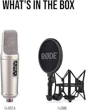Amazon | RODE Microphones ロードマイクロフォンズ NT2-A