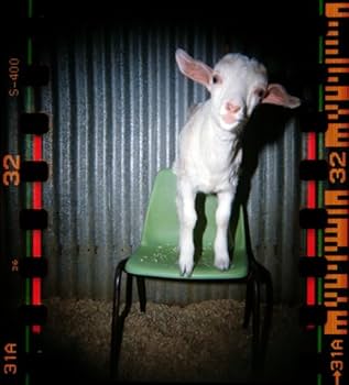 Amazon.co.jp: 【blackbird, fly(ディケイドピンク)】仮面ライダー