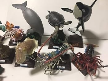 Amazon.co.jp: ネイチャーテクニカラー 鳥羽水族館 シークレット