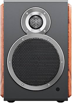 こ*ん様 Fiio SA1 Bluetooth ブックシェルフスピーカー FiiO SA1 FIO