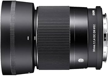 Amazon.co.jp: シグマ(Sigma) レンズ 30mm F1.4 DC DN Sony ソニー E