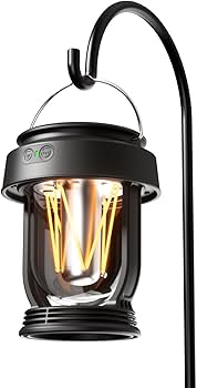 Amazon.com: MPOWERD Luci Edison Bulb Rechargeable Solar Hanging