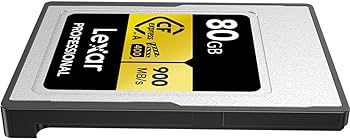 Amazon.com: Lexar Gold Series Professional 80GB CFexpress Type-A