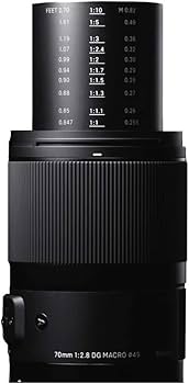 Amazon.co.jp: シグマ(Sigma) レンズ 70mm F2.8 DG MACRO Sony ソニー