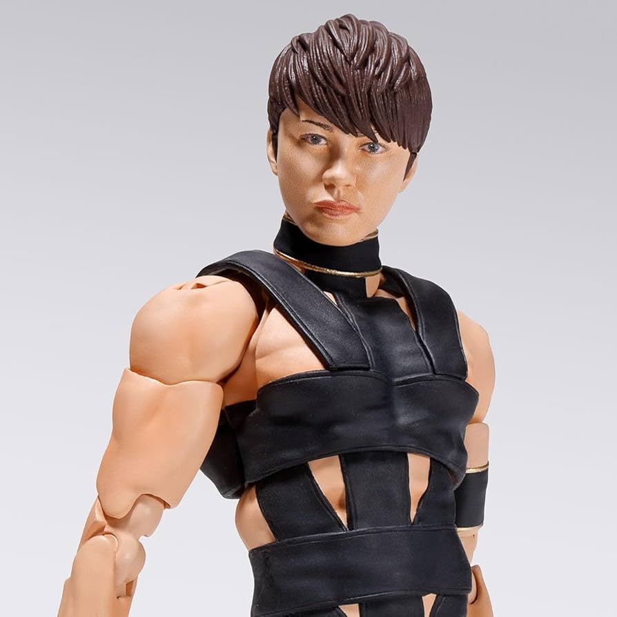 Amazon.com: BANDAI S.H. Figuarts T.M. Revolution Takanori