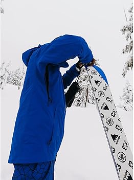 Amazon.co.jp: [バートン] メンズ [ak] スウォッシュ GORE-TEX 2L