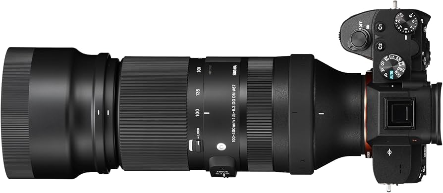 Amazon.com : Sigma 100-400mm F-5.6.3 DG DN OS for L Mount