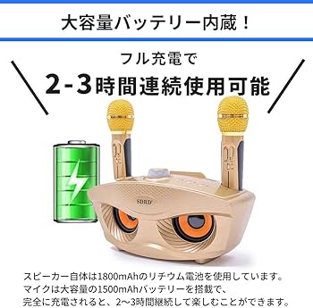 Amazon.co.jp: SDRD カラオケ Bluetooth マイク2本 カラオケマイク