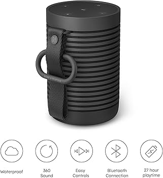 Amazon.com: Bang & Olufsen Beosound Explore - Wireless Portable
