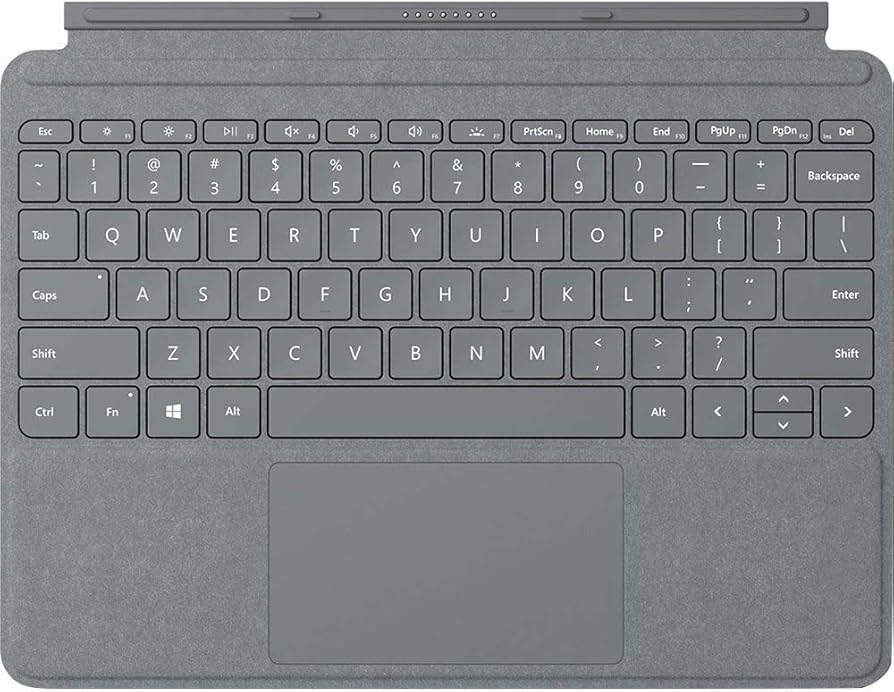 Amazon.com: Microsoft Surface Go Signature Type Cover (Platinum