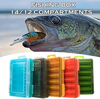 61tM1BJBiIL._AC_UF350,