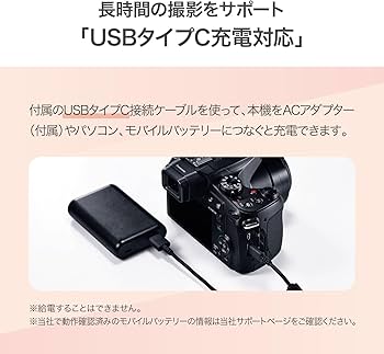 Amazon.co.jp: パナソニック(Panasonic) LUMIX デジタルカメラ 光学60