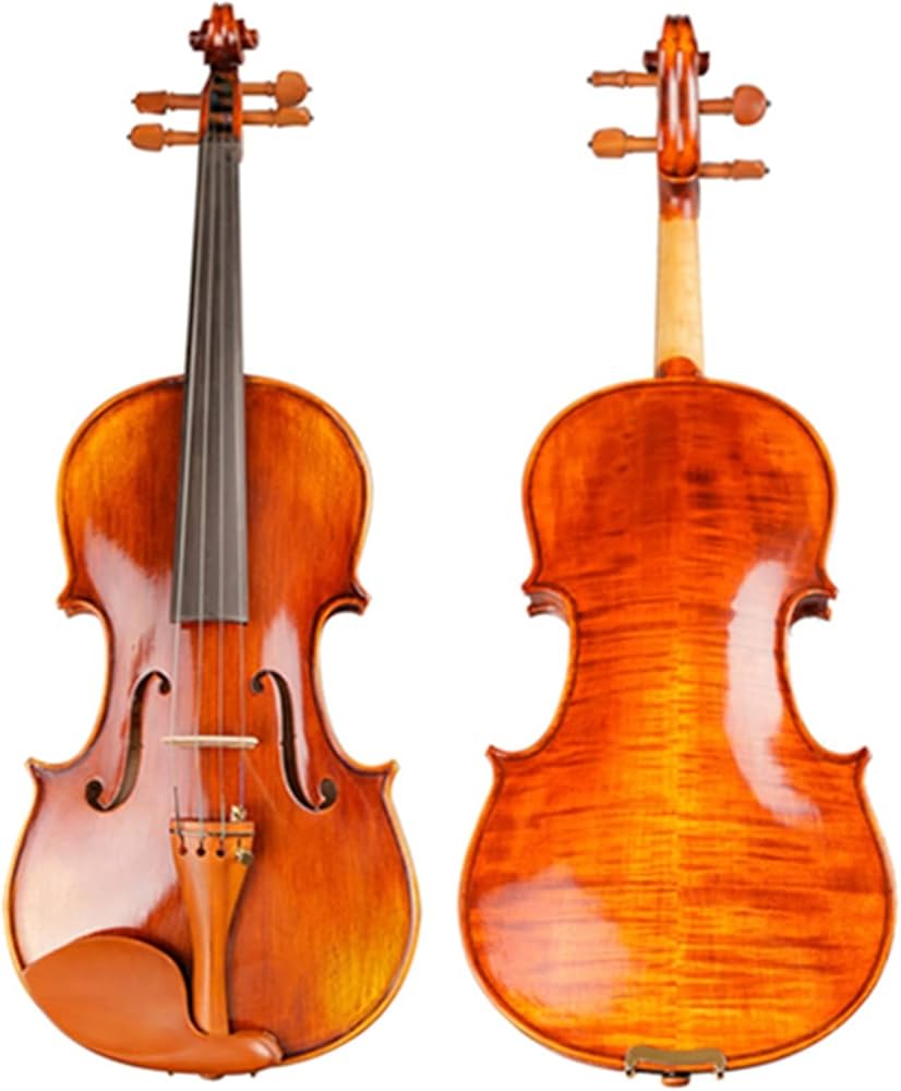 Amazon.com - FLFL Violin String Instruments Violin 4/4 3/4 1/2 1/4