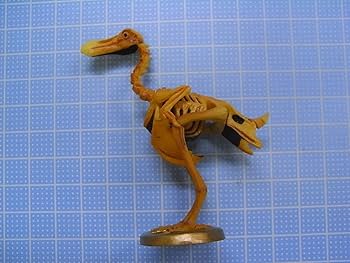 Amazon.co.jp: ドードー鳥 骨格 フィギュア 海洋堂 レッドデータ