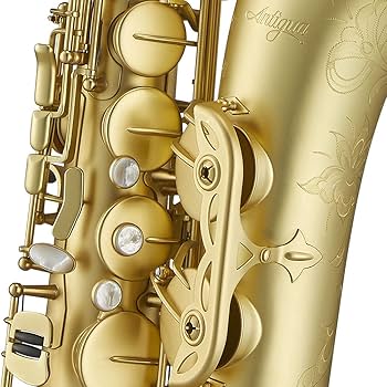 Amazon.com: Antigua Winds 25th Anniversary Model Professional Bb